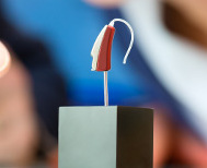 Digitsl Hearing Aid
